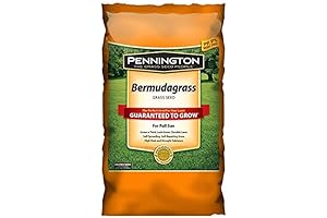 Pennington Seed: Premium Bermuda Grass Seed for Southern Lawns
