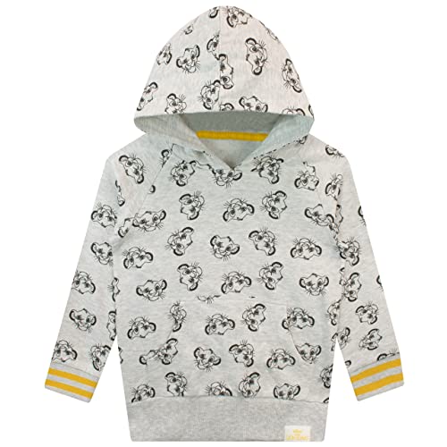 Disney Boys Lion King Hoodie2