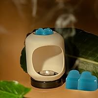 Vista 2 de pliadvbu Cera perfumada que derrite el corazón para calentador de cera perfumada – 100% soja derretida – 12 fragancias x 6 corazones para el hogar