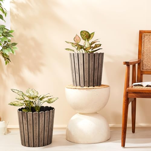 Image of Amazon Brand- Solimo Indoor and Outdoor Round 12 Inch Thai Flower Planter Pot Best for Terrace /Balcony /Home /Office Decor - Set of 2