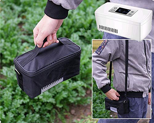 Piccolo frigorifero/Borsa per diabete/Custodia per...