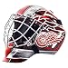 Franklin Sports Detroit Red Wings Goalie Mask - Team Graphic Goalie Face Mask - GFM1500 Only for Ball & Street - NHL Official Licensed Product