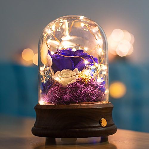 Bluetooth speaker,Rose eternal flower gift box Glass music box Flowers [light] Christmas day-D