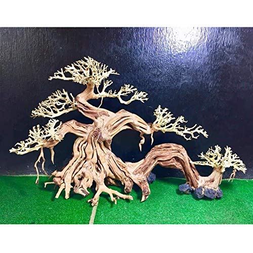 StoreLux Aquarium Driftwood Bonsai Tree, Bonsai Driftwood for Aquarium Plants, Fish Tank Decoration Aquarium Background ((30L x 25H) cm)