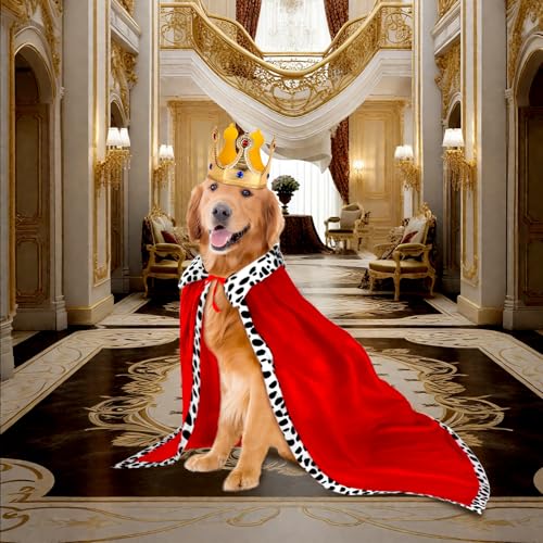 RANYPET Hund König Umhang und Krone, Halloween Haustier Kostüm für Große und Mittlere Hunde, Hundekostüm Hunde König Prinz Kostüm Königin Cosplay für Halloween Party Dressing up Foto(XL)