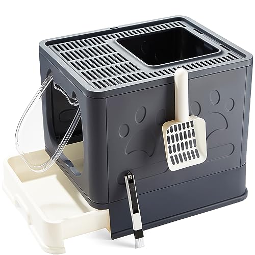 10 Best Cat Litter Boxes for HassleFree Cleanup Your Ultimate Buying Guide! Furry Folly