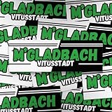 Fan-Kultur Xperience