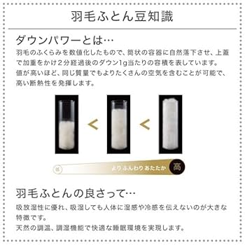 ニトリ　グースダウン85％使用　羽毛掛け布団　シングル(ULG-3 n S) Amazon｜ニトリ グレーグースダウン85%使用 羽毛掛け布団 ULG3