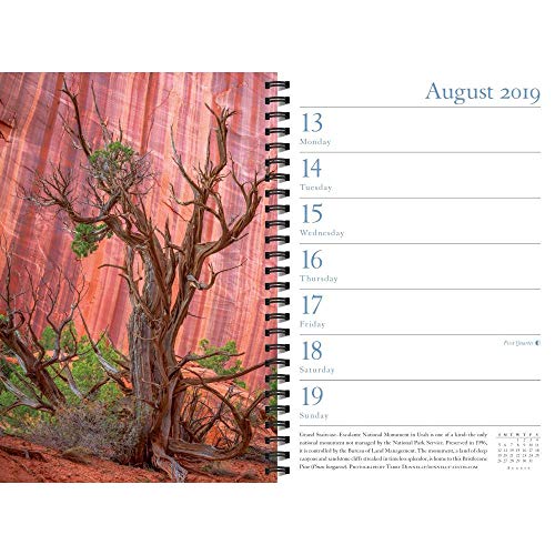 Audubon Engagement Calendar 2019 - Thumbnail 4