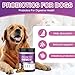 TTLXRL Probiotics for Dogs Itchy Skin Digestive Enzymes for Dogs Dog Gut Health Probiotics Gas Relief Dog Diarrhea Relief Probiotic Chews for Dogs 200 Natural Soft Chewable Tablets
