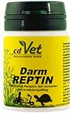 DarmREPTIN 20g