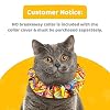 Birdsbesafe Geodelic Cat Collar Cover for Birds - Bird Warning Cat Collar, Scientifically Proven to Help Prevent Your Cat from Catching Birds - Please Purchase Breakaway Collar Separately