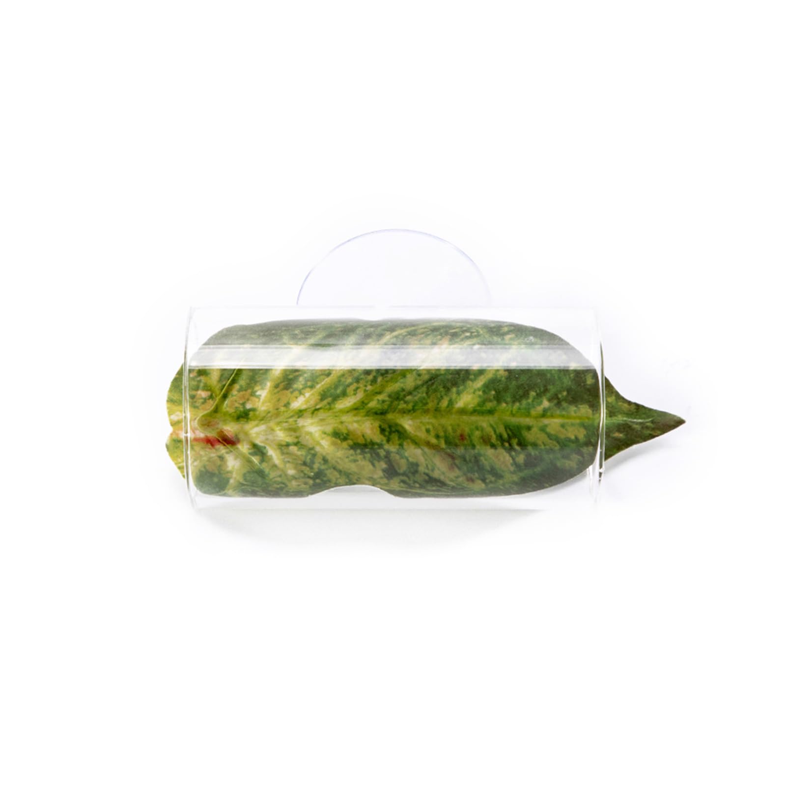 Carotoe A Quarium Decors Plant Ornaments Colorful Water Plant Tanks Landscaping Colorful Rtificial Leaves Ppearance Shrimp Habitat Quarium Decors