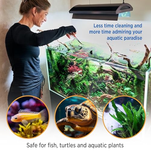 Piedras de acuario totalmente naturales para la decoración de estanques de gran volumen 5