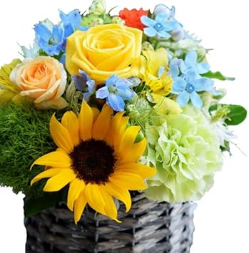 Amazon 夏 フラワーギフト 花 誕生日 ギフト フラワー ギフト アレンジ 花瓶不要 アラモード アラモード 夏限定ver 画像配信サービス付き 9 16 21 は画像配信不可 Cool フラワーアレンジメント オンライン通販