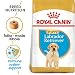 Royal Canin Labrador Retriever Junior 3 kg, 1er Pack (1 x 3 kg)