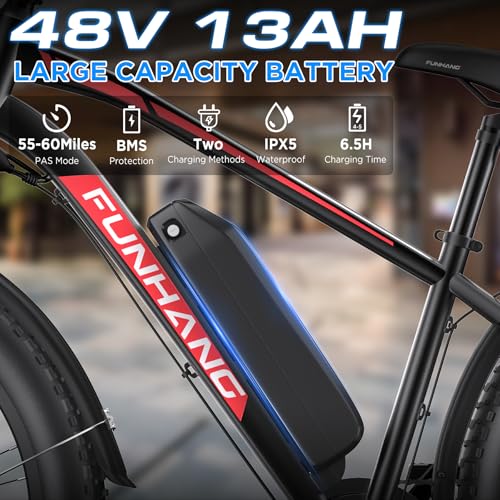 Funhang 1000W Electric Mountain Bike