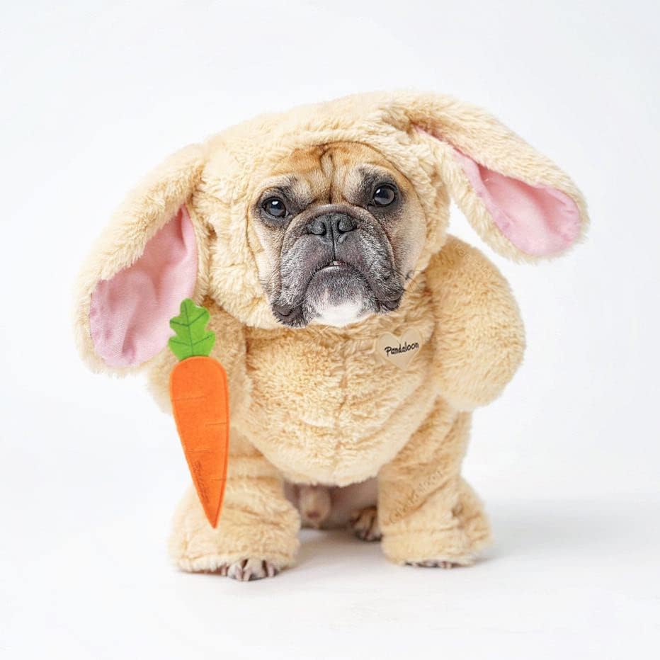 PandaloonPet Costume - As Seen on Shark Tank - Patented - Funny Costume with Arms for Small and Medium Dogs and Cats (Bunny, Size 4(20-23 in Height at TOP of Head,Girth<27 in))