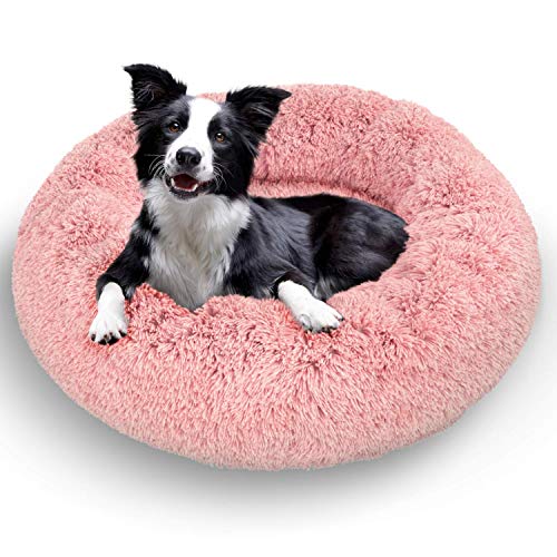 Top 10 Orthopedic Dog Beds of 2022 Best Reviews Guide