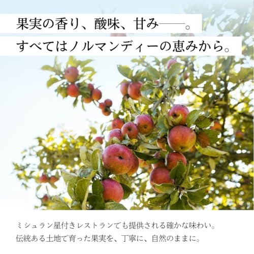 アルディス SASSY クラシック やや辛口 750ml