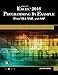 Microsoft Excel 2016 Programming by Example with VBA, XML, and ASP