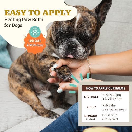 Image of Natural Dog Company Paw Soother Dog Paw Balm - Moisturizes Dry Cracked Paws After Walks, Hot Pavement, Beach Sand, Hiking & Outdoor Play with Coconut Oil & Calendula, Daily Paw Care, 1 oz Tin