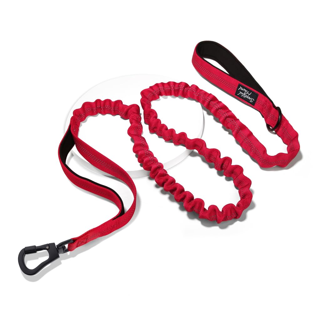 Snootiful Hound Secure Bungee Dog Lead With Locking Carabiner Clip, Double Handle Shock Absorbing Lead, Assorted Colours - Image 4