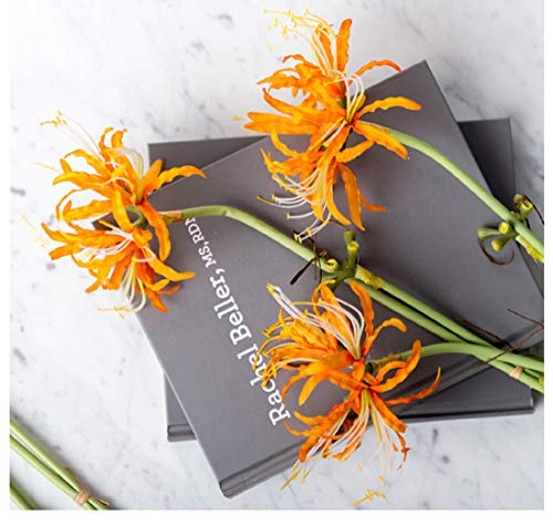 Image of 6 Stems 26.38 Inch Artificial Lycoris Radiata Spider Lily Flowers for Home Garden Decoration (Orange)