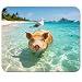 7AN.M Caribbean Swimming Pig with Seagull Gaming/Office Mouse Pad 9.5" x 7.9", Tropical Beach Pig Desk Mat for Summer Vacation Vibes