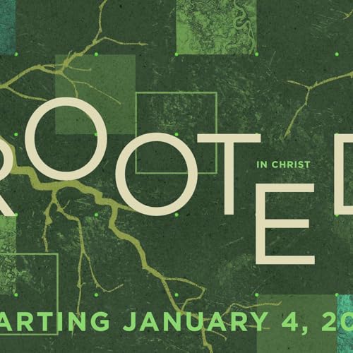 Rooted: Depth | Justin Huibregtse | January 11, 2026