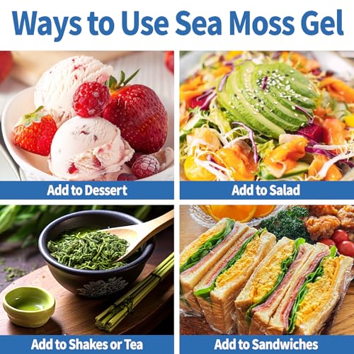 Sea Moss Gel Blue Spirulina Irish Seamoss Gel wtith Black Seed Oil, Ashwagandha, Ginger and Vitamin C, Vegan Superfood Vitamins Mineral Support, Made in USA, Gluten Free, Non-GMO - Image 7