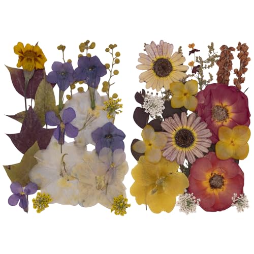 Flores Secas Prensadas para Manualidades 40 Piezas miniatura 1