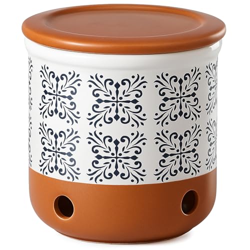 JODEVI Garlic Keeper for Counter Ceramic Garlic Holder Storage Container