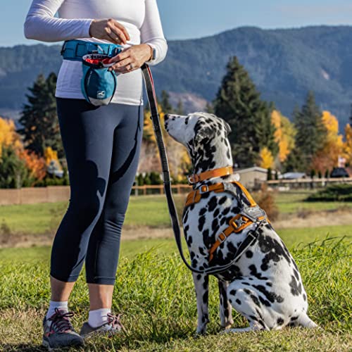 Kurgo-Dog-Training-Treat-Pouch-Bag-Treat-Bags-for-Dogs-Portable-Pet-Pocket-Waist-Clip-Bag-Reflective-Snack-Bag-for-Pets-Includes-Clip-Carabiner-Go-Stuff-It-Bag-Coastal-Blue-Chili-Red