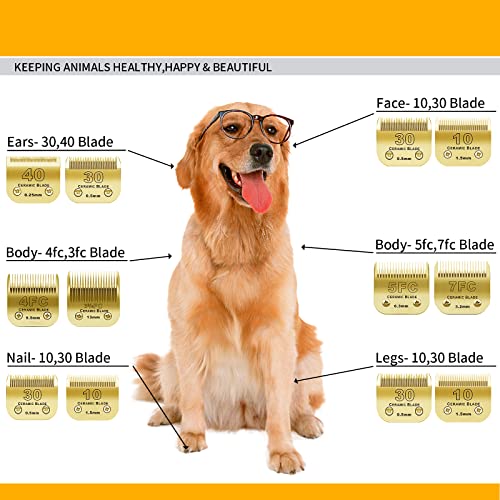 Image of Gold Detachable Dog Blades Set Compatible with Andis /Oster A5 Grooming | Compatible with wahl km10 dog clipper,Made of Ceramic Blade & Stainless Steel Blade,Include 7FC /5FC /4FC /3FC 4 Pack