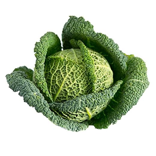 La zappa Semi di Cavolo Cappuccio piante per orto e giardino (Verza Re d'inverno)