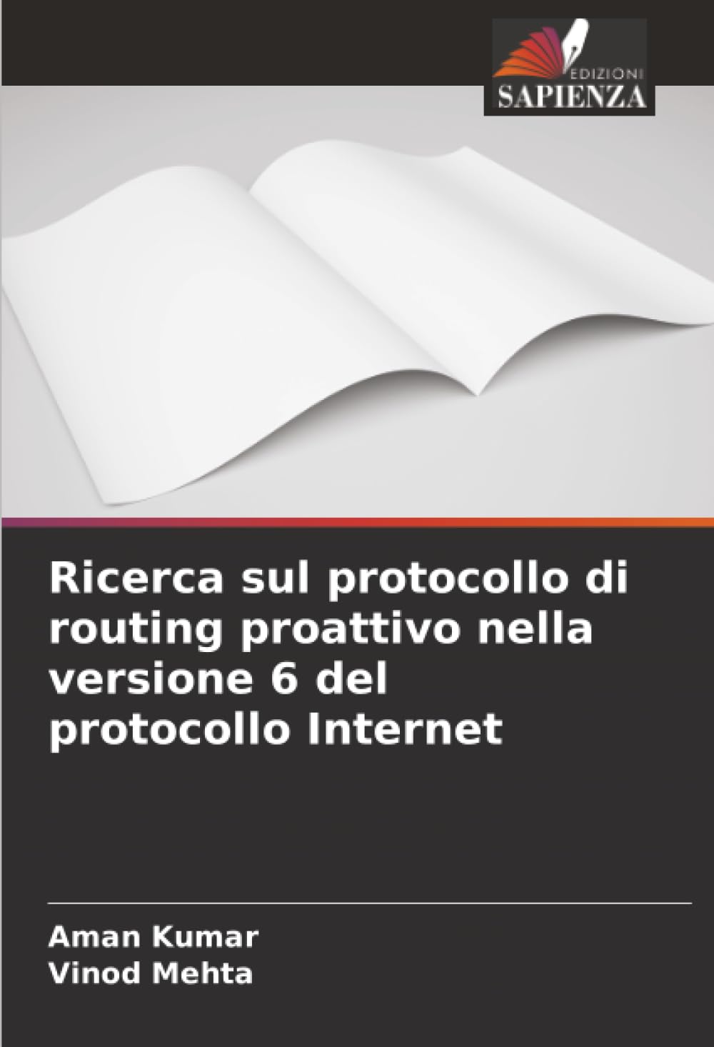 Ricerca sul protocollo di routing proattivo nella versione 6 del protocollo Internet