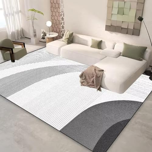 Tapis lavable 120x180cm pour salon et entretien facile - 2