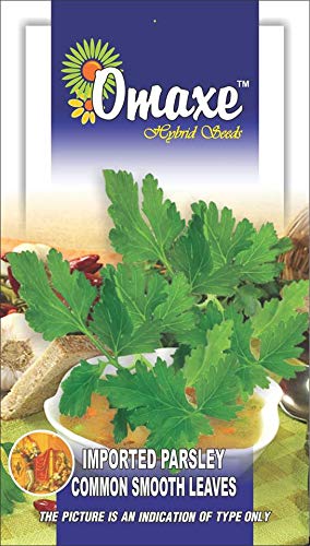 Garden Care Parsley Common Flat Leaf Exotic Seeds Kitchen Garden Packet By Garden Care (B07MGDK27V) Amazon Price History, Amazon Price Tracker
