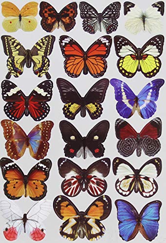 BOBOVIIA 19PCS 3D Butterfly Wall Stickers DIY Butterfly Art Decal Home Decor Wall Mural Removable Stickers for Wall Decor Home Decor Wall Art Kids Room Bedroom Decor Living Room Decor(Color:H1-003)