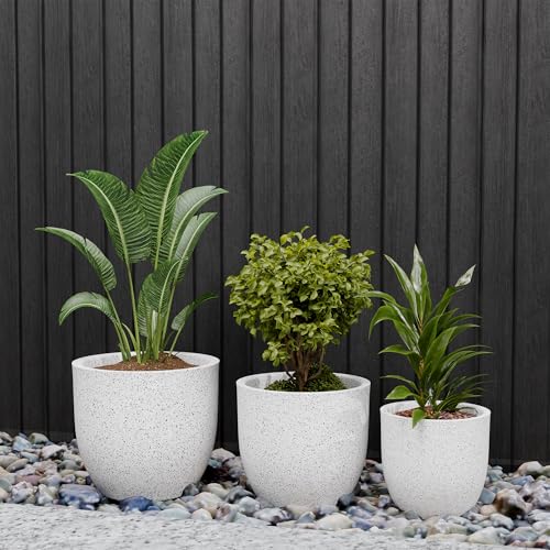 Image of YUCCABE ITALIA FOXB PCUP 17, 15, 12 Inch Pack of 3, Pots for Plants Highly Durable Polymers Lightweight Indoor Outdoor Flower Pot Gamla Tree Planter Container for Living Room, Balcony,Garden