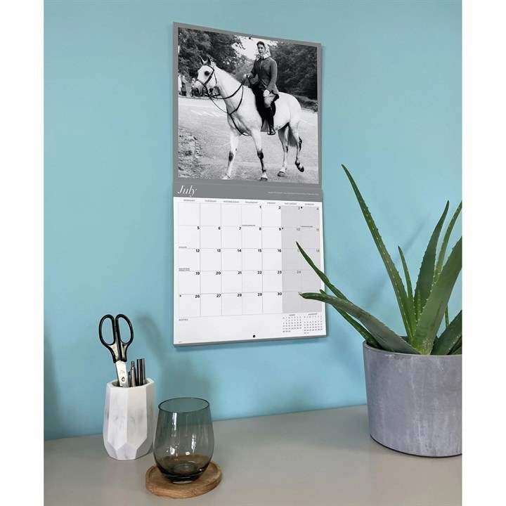 View 4