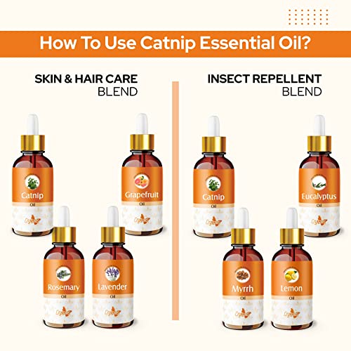 Image of Crysalis Catnip Oil 30 ml (1.01 fl oz) - Steam Distilled Herbaceous Aromatic Oil for Calming Diffusion Blends & DIY Aromatherapy