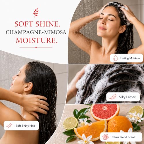 Image of Ginger Lily Farms Botanicals Shampoo, 128oz /4pk, Champagne Mimosa | 100% Vegan & Cruelty-Free | Moisturizing Shampoo for All Hair Types | Refill Size