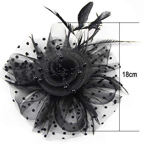Feiyu Crafts Penny Mesh Hat Fascinator With Mesh Ribbons And Black Feathers (A-Black) #TOP3