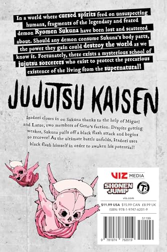 Image of Jujutsu Kaisen, Vol. 29
