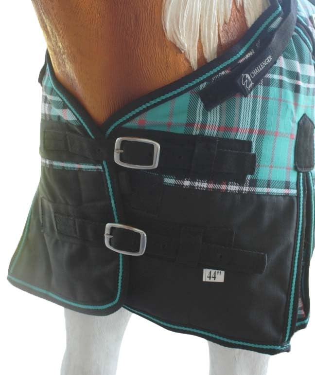 Image of CHALLENGER 1200D Foal Winter Blanket Miniature Pony Donkey Bellyband Turquoise Rustic