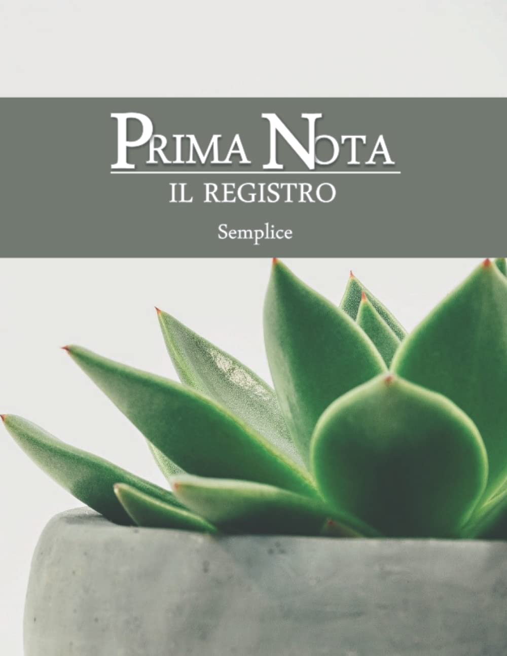 Prima Nota – Il registro: 100 pagine con colonne Cassa e IVA + Scheda saldi mese, trimestre, quadrimestre. Subtotali per pagina e riporto saldi | ... cassa agenda dei conti Cop7 (Italian Edition)
