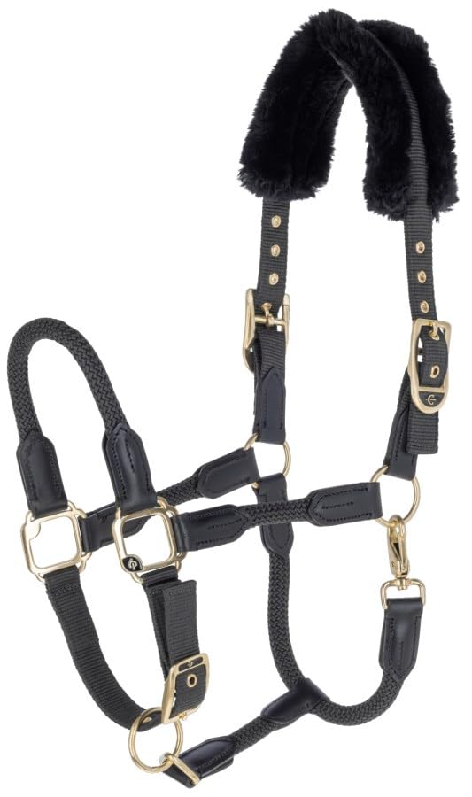Licol Anniversary Graphite 2025 Covalliero pour cheval