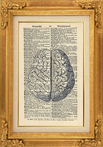 HUMAN BRAIN ART PRINT - ANATOMY ARTWORK - VINTAGE ART PRINT - ART - Illustration - GIFT - Vintage Dictionary Art Print - Wall Hanging - Home D&eacute;cor - Housewares - Book Print - 370Bf steampunk buy now online